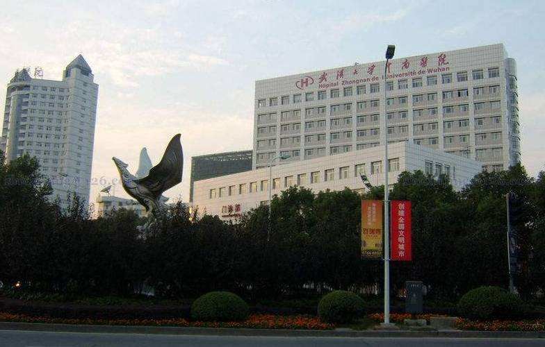 最新の会社の事例について 武漢大学のZhongnanの病院